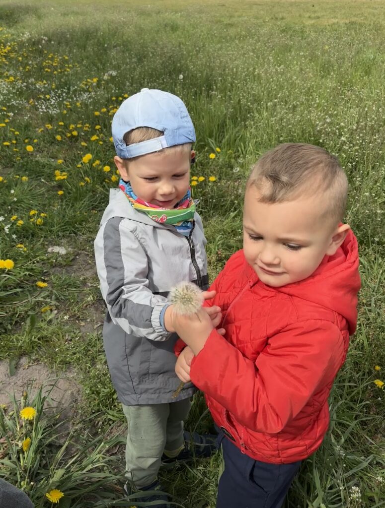 Chłopcy na łące.